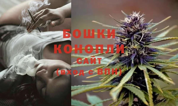 mix Бородино
