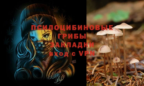 mix Бородино