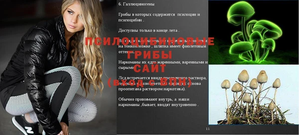 mix Бородино